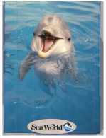 (PF 311) Sea World Dolphin - Delfines