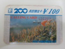 Shenzhen Earlier Prepaid Phonecard,Spargel, Paper Card,used With Light Pen Written,issued Before 1995 - Chine