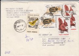 STAMPS ON REGISTERED COVER, NICE FRANKING, SQUIRELL, BEETLE, ORIOLE, 1997, ROMANIA - Covers & Documents