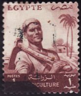 EGYPTE 1954  -     YT   365    -  Agriculteur -  Oblitéré - Usati