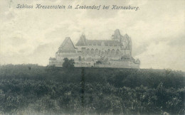 KORNEUBURG. Schloss Kreuzenstein. Posted For TRIEST 1907. - Korneuburg