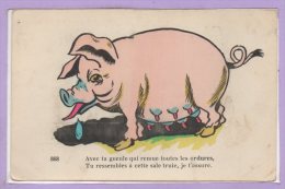 14 --  COCHONS - Varkens