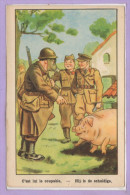 14 --  COCHONS - Schweine