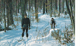 Michigan Mancelona Ski Trail Schuss Mountain Ski Resort And Golf Course - Dearborn