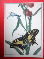Old World Swallowtail - Goblet-marked Damselfly , Erythromma Lindenii - Insects - 1987 - Russia USSR - Unused - Insetti