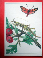 Predatory Bush Cricket , Saga Pedo - Bloodword Burnet , Zygaena Laeta - Insects - 1987 - Russia USSR - Unused - Insects