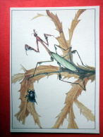 Cecchiniola Platyscelidina - Praying Mantis , Empusa Fasciata - Insects - 1987 - Russia USSR - Unused - Insetti