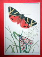 The Crimson-speckled Flunkey - Jersey Tiger Moth , Callimorpha Quadripunctaria - Insects - 1987 - Russia USSR - Unused - Insectos