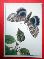 The Blue Underwing , Catocala Fraxini - Insects - 1987 - Russia USSR - Unused - Insectos