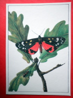 Liometopum Microcephalum - The Scarlet Tiger Moth , Callimorpha Dominula - Insects - 1987 - Russia USSR - Unused - Insectos