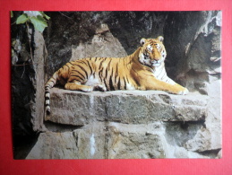 Tiger - Animals - 1989 - Russia USSR - Unused - Tigers
