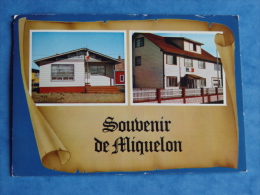 CARTE POSTALE SOUVENIR DE MIQUELON LA BANQUE LA GENDARMERIE - Saint-Pierre En Miquelon