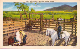 Calf Branding - A Nevada Ranch Scene - Andere & Zonder Classificatie