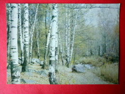 Alma Ata In The Vicinity - Almaty - Birch Trees - 1982 - Kazakhstan USSR - Unused - Kazakistan