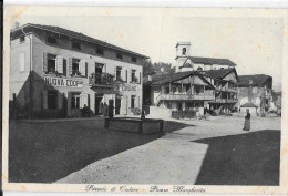 VENETO-BELLUNO-POZZALE DI CADORE PIAZZA MARGHERITA ANIMTISSIMA - Sonstige & Ohne Zuordnung