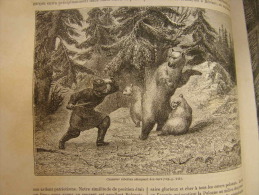 Russia - Siberia - Chasseur Siberien Attaquant Des Ours - Siberian Hunter -   BEREZOV  -  Engraving 1862 TdM1862.219 - Estampes & Gravures