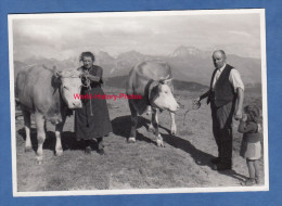 CPA Photo - SCHELTENEGG ??? Prés BOLTINGEN ? - Juli 1945 - Deux Belles Vaches Suisses - Voir Cloche Vache - Egg