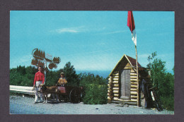 QUÉBEC - GASPÉ NORD - ATTELAGE DE CHIEN - DOG CART - BÂTEAUX À VENDRE - JEUNES GASPÉSIENS VENDEURS - PHOTO C. BERNARD - Gaspé