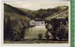 Wiesenbeker Teich-1929 -Verlag: R. Lederbogen, Halberstadt, FELD -  POSTKARTE Besch., Frankatur, Mit Stempel - Bad Lauterberg