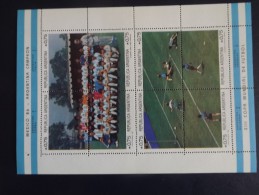 Argentine Bloc N°33 Et 34 Neuf Football - Blocks & Sheetlets