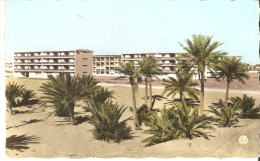 Ouargla Cite Selis - Ouargla