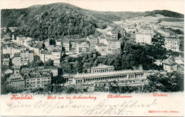 Sudetenland Original Ansichtskarte Karlsbad, Blick Von Der Hubertusburg,  Gel. Nach Selle 24.Aug.1899 - Sudeten