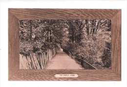 THE DINGLE Lymm LIM Nr Warrington UNUSED CHESHIRE POSTCARD - Altri & Non Classificati