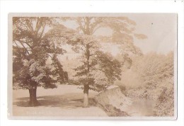 RP RIVER BOLLIN FROM ASHLEY ROAD BRIDGE BOWDON SERIES  S BUTLER ALTRINCHAM UNUSED POSTCARD - Other & Unclassified