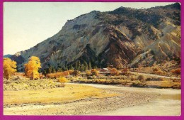 Big Rock Candy Mountain UT Utah 1950s Nice Scenic Postcard - Altri & Non Classificati