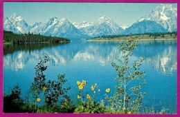 Jackson Lake Teton National Park Mountains WY 1950s Nice Scenic Postcard - Other & Unclassified