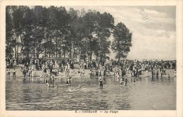 89 COURLON - La Plage - Champs Sur Yonne