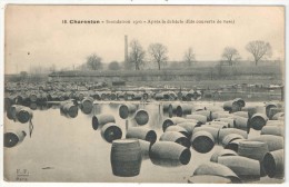 94 - CHARENTON - Inondation 1910 - Après La Débâcle (fûts Couverts De Vase) - Fleury FF 19 - Charenton Le Pont