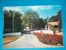 17) Pont-l´abbé-d´arnoult - Grand Format - Le Camping Municipal - L´entrée  -  EDIT- Combier - Pont-l'Abbé-d'Arnoult