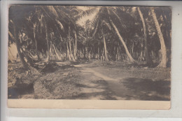 HONDURAS - LA CEIBA, Photo-AK, 1913 - Honduras