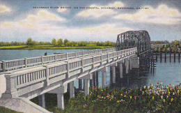 Georgia Savannah River Bridge On Coastal Highway - Savannah