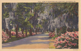 Georgia Savannah View In Bonaventure Cemetery - Savannah