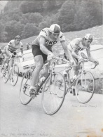PHOTO  Cyclisme Groupe - Sport