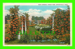 SPRINGFIELD, MA - ROSE GARDENS, FOREST PARK - TRAVEL IN 1930 - PUB. BY THE SPRINGFIELD NEWS CO -- - Springfield
