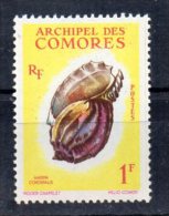 COMORES N° 20 Neuf Sans  Charniere - Used Stamps
