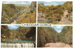 (PF 656) UK - Cheddar Gorge - Other & Unclassified