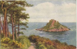 SALMON ART CARD - CARRUTHERS - 4258 - THE THATCHER ROCK, TORQUAY - Torquay