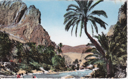 CPSM L'Oued Et Les Gorges - 1957 (5815) - El-Oued