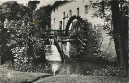 Grimbergen :  Tommenmolen -  Watermolen   ( Geschreven Met Zegel ) - Grimbergen