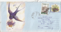 BIRD, SWALLOW, COVER STATIONERY, ENTIER POSTAL, 1999, ROMANIA - Golondrinas