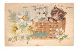 CPA  Fantaisie Chats : Deux Chatons Dans Un Panier + Marguerites - Signé Bernet - Cats