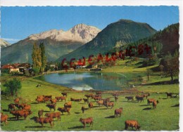 73 - CACHET DE BRIDES LES BAINS - L' ETE DANS LS ALPES - PATURAGE AU BORD DU LAC DU PRAZ DE SAINT BON-1963 - Brides Les Bains