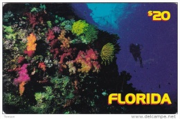 United States, MCI, $20 Florida, Diver And Underwater Wiev, 2 Scans. - Andere & Zonder Classificatie