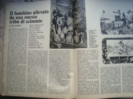 VIE NUOVE 1977 ALBERT ROBIDA DISEGNATORE PORTOFINO FUMONE FROSINONE - Other