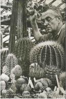 CPSM Hollande - Aalsmeer - L'Homme Au Cactus - Aalsmeer