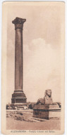 Egypt, Alexandria Alexandrie, Colonne De Pompee Et Sphinx, Pompey Column And Sphinx - Alejandría
